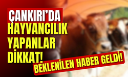 Çankırı’da Hayvancılık Yapanlar Dikkat! Beklenilen Haber Geldi