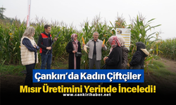 Çankırı’da Kadın Çiftçiler Mısır Üretimini Yerinde İnceledi!