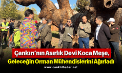 Çankırı’nın Asırlık Devi Koca Meşe, Geleceğin Orman Mühendislerini Ağırladı