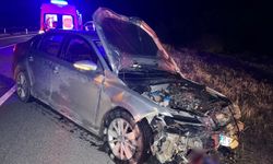 Domuz Sürüsü Bir Anda Yola Çıktı! Otomobildeki 2 Kişi Yaralandı!