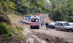Kestane Toplamak İçin Ormana Gitti, Cansız Bedeni Bulundu