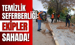 Temizlik Seferberliği: Ekipler Sahada!