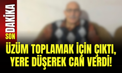 Üzüm Toplamak İçin Çıktı, Yere Düşerek Can Verdi!