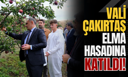 Vali Çakırtaş Elma Hasadına Katıldı!