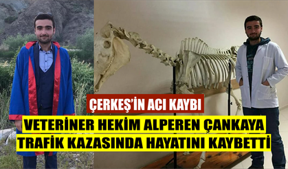 Çerkeş'in acı kaybı: Veteriner Hekim Alperen Çankaya trafik kazasında hayatını kaybetti