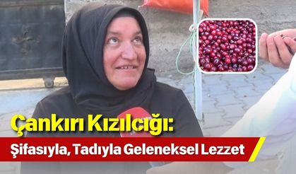 Çankırı Kızılcığı: Şifasıyla, Tadıyla Geleneksel Lezzet