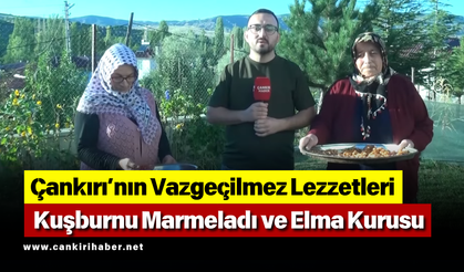 Çankırı’nın Vazgeçilmez Lezzetleri: Kuşburnu Marmeladı ve Elma Kurusu