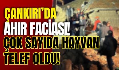 Çankırı’da Ahır Faciası! Çok Sayıda Hayvan Telef Oldu!