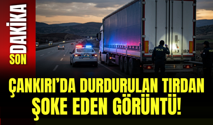 Çankırı’da Durdurulan Tırdan Şoke Eden Görüntü!