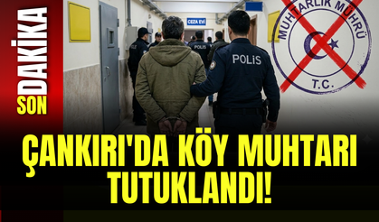 Çankırı'da Köy Muhtarı Tutuklandı!