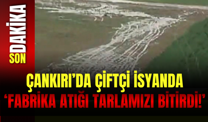 Çankırı’da çiftçi isyanda: "Fabrika atığı tarlamızı bitirdi!"