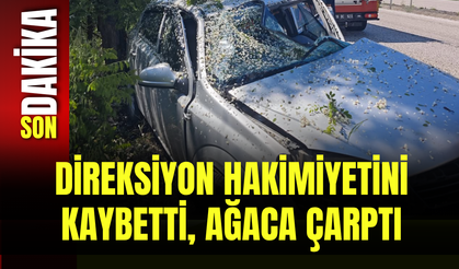 Direksiyon Hakimiyetini Kaybetti, Ağaca Çarptı