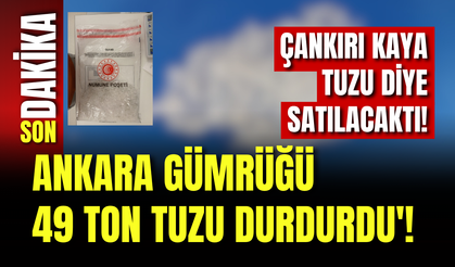 Çankırı Kaya Tuzu Diye Satılacaktı! Ankara Gümrüğü 49 Ton Tuzu Durdurdu!