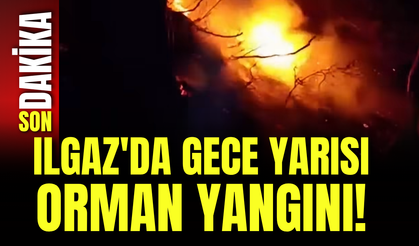 Ilgaz'da Gece Yarısı Orman Yangını!