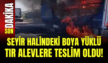 Seyir Halindeki Boya Yüklü Tır Alevlere Teslim Oldu!
