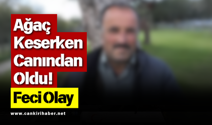 Ağaç Keserken Canından Oldu! Feci Olay