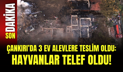 Çankırı’da 3 Ev Alevlere Teslim Oldu: Hayvanlar Telef Oldu!
