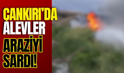 Çankırı’da Alevler Araziyi Sardı!