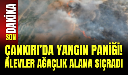 Çankırı’da Yangın Paniği! Alevler Ağaçlık Alana Sıçradı