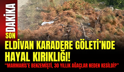 Eldivan Karadere Göleti’nde Hayal Kırıklığı! “Marmaris’e Benzemişti, 30 Yıllık Ağaçlar Neden Kesildi?”