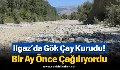 Ilgaz’da Gök Çay Kurudu! Bir Ay Önce Çağılıyordu