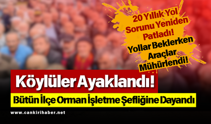 Köylüler Ayaklandı! Bütün İlçe Orman İşletme Şefliğine Dayandı