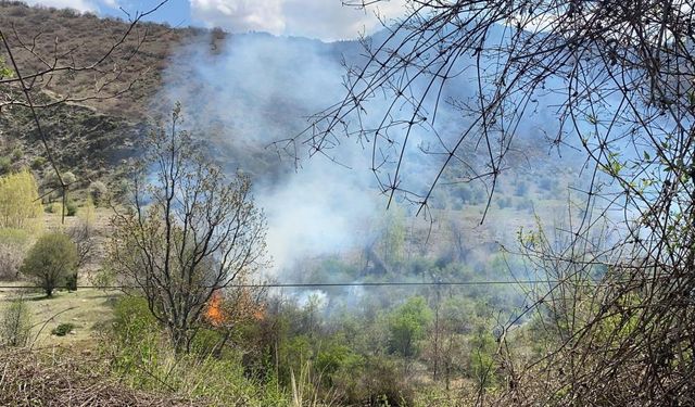Çankırı-Kastamonu karayolunda orman yangını kontrol altına alındı