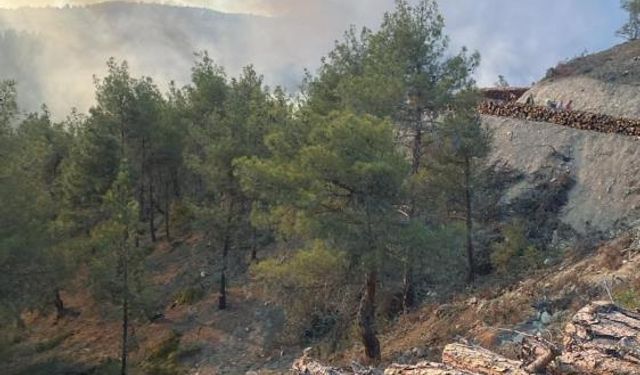 Sinop Orman Yangınında 5 Hektar Alan Kontrol Altında