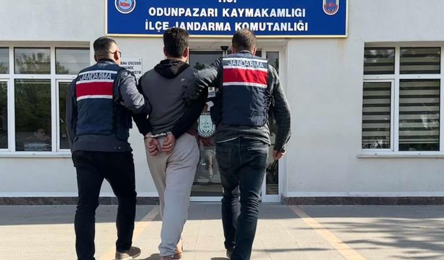 DEAŞ Terör Örgütü Üyesi Eskişehir'de Yakalandı