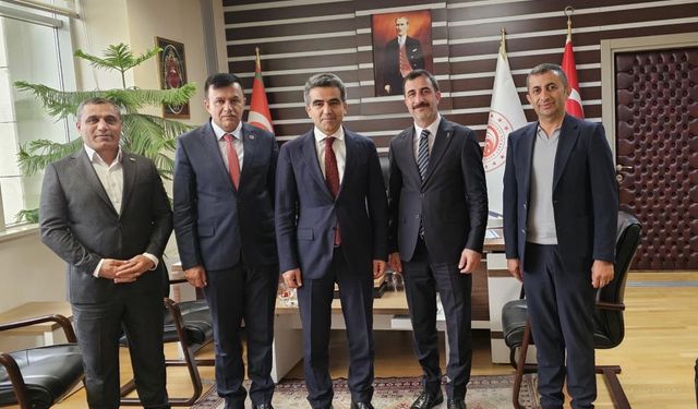 Hakkari ve ilçelerindeki sıkıntı ve sorunları Ankara’ya taşıdılar