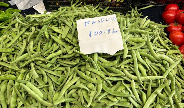 'Nazende' fasulye, tezgahlarda kendine yer buldu