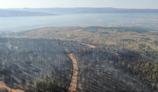 Çankırı Ilgaz'daki Orman Yangını Kontrol Altında: 44,17 Hektarlık Alan Zarar Gördü