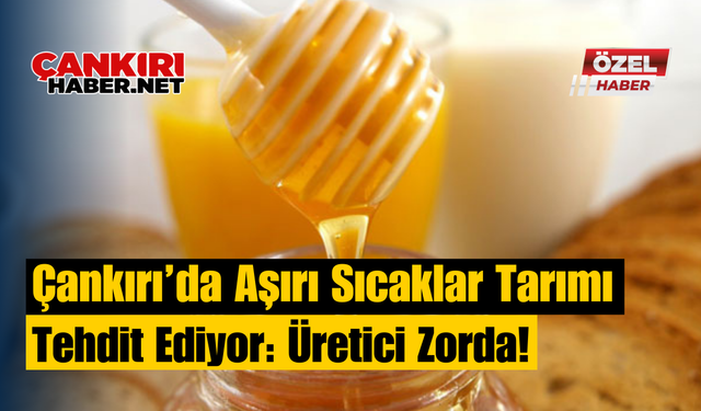 Çankırı’da Aşırı Sıcaklar Tarımı Tehdit Ediyor: Üretici Zorda!