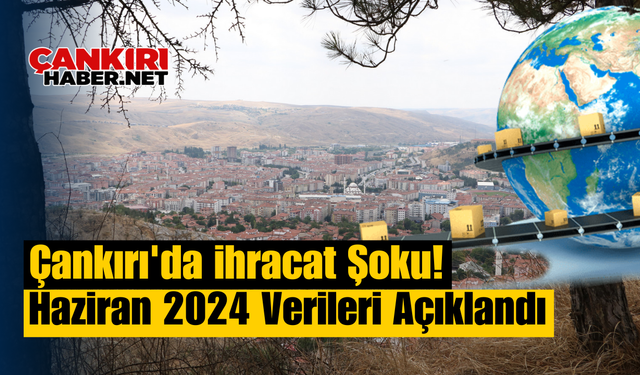 Çankırı'da İhracat Şoku! Haziran 2024 Verileri Açıklandı