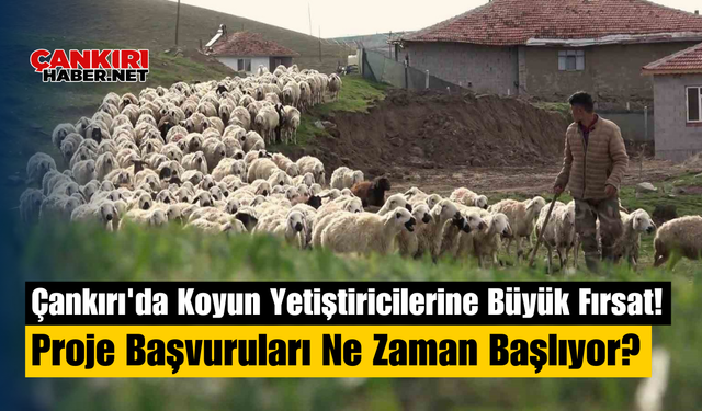 Çankırı'da Koyun Yetiştiricilerine Büyük Fırsat! Proje Başvuruları Ne Zaman Başlıyor?