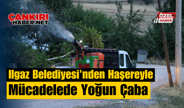 Ilgaz Belediyesi'nden Haşereyle Mücadelede Yoğun Çaba