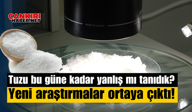 Tuzu bu güne kadar yanlış mı tanıdık? Yeni araştırmalar ortaya çıktı!