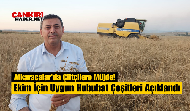 Atkaracalar'da Çiftçilere Müjde! Ekim İçin Uygun Hububat Çeşitleri Açıklandı