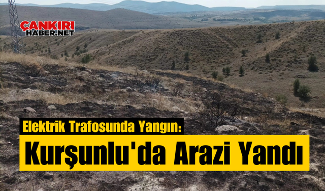 Elektrik Trafosunda Yangın: Kurşunlu'da Arazi Yandı