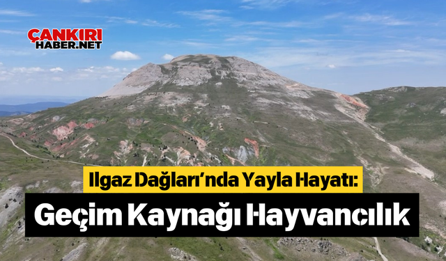 Ilgaz Dağları’nda Yayla Hayatı: Geçim Kaynağı Hayvancılık