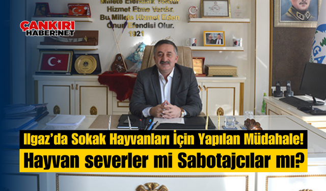 Ilgaz’da Sokak Hayvanları İçin Yapılan Müdahale! Hayvan severler mi Sabotajcılar mı?