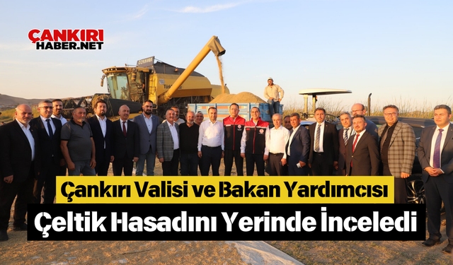 Çankırı Valisi ve Bakan Yardımcısı Çeltik Hasadını Yerinde İnceledi