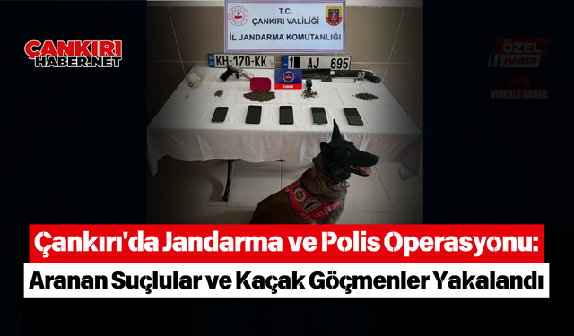 Çankırı'da Jandarma ve Polis Operasyonu: Aranan Suçlular ve Kaçak Göçmenler Yakalandı