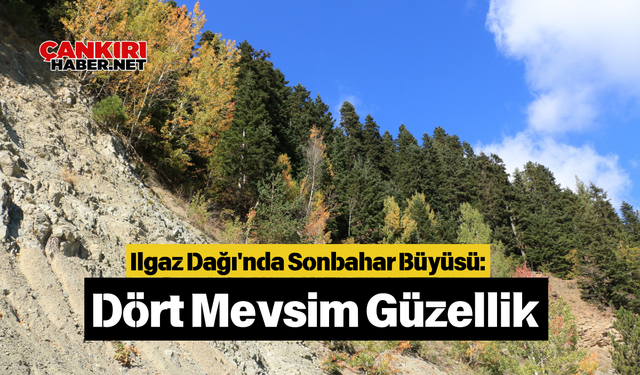 Ilgaz Dağı'nda Sonbahar Büyüsü: Dört Mevsim Güzellik