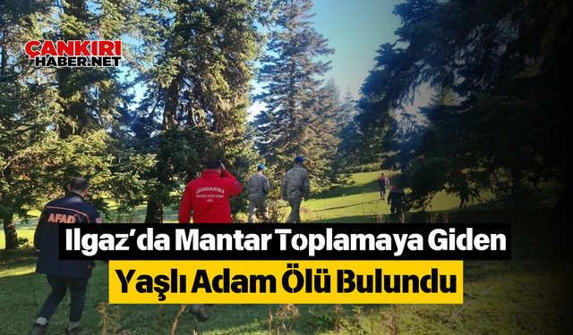 Ilgaz’da Mantar Toplamaya Giden Yaşlı Adam Ölü Bulundu