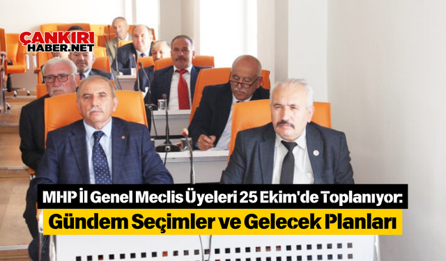 MHP İl Genel Meclis Üyeleri 25 Ekim'de Toplanıyor: Gündem Seçimler ve Gelecek Planları