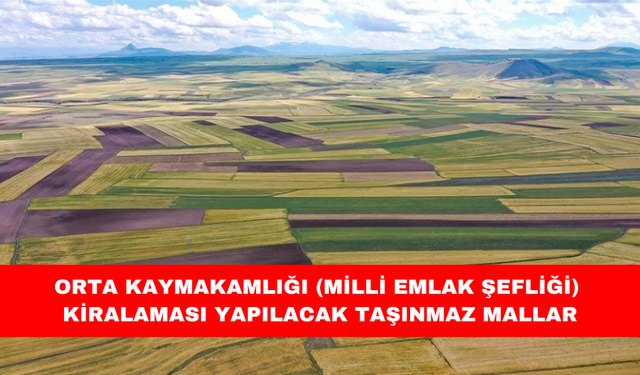 ORTA KAYMAKAMLIĞI (MİLLİ EMLAK ŞEFLİĞİ) KİRALAMASI YAPILACAK TAŞINMAZ MALLAR