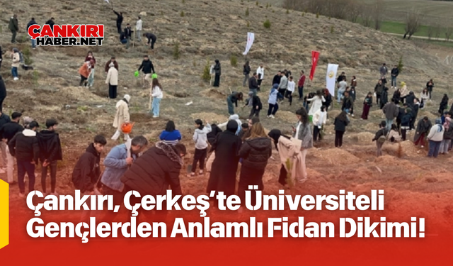 Çankırı, Çerkeş’te Üniversiteli Gençlerden Anlamlı Fidan Dikimi!