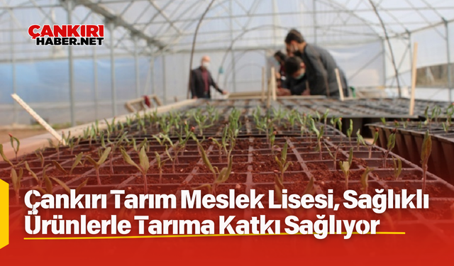 Çankırı Tarım Meslek Lisesi, Sağlıklı Ürünlerle Tarıma Katkı Sağlıyor