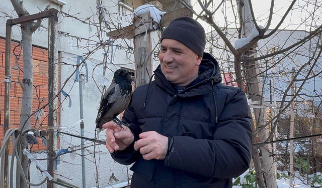 Soğuk Havaya Meydan Okuyan Karga Karın Tadını Çıkardı!